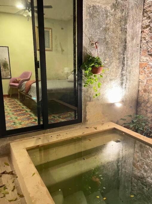 Hébergement de vacances Casa Coco Mérida