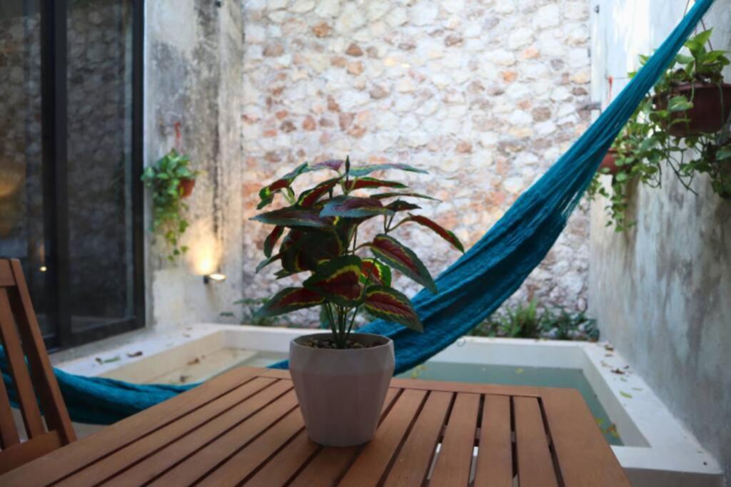 Hébergement de vacances Casa Coco *